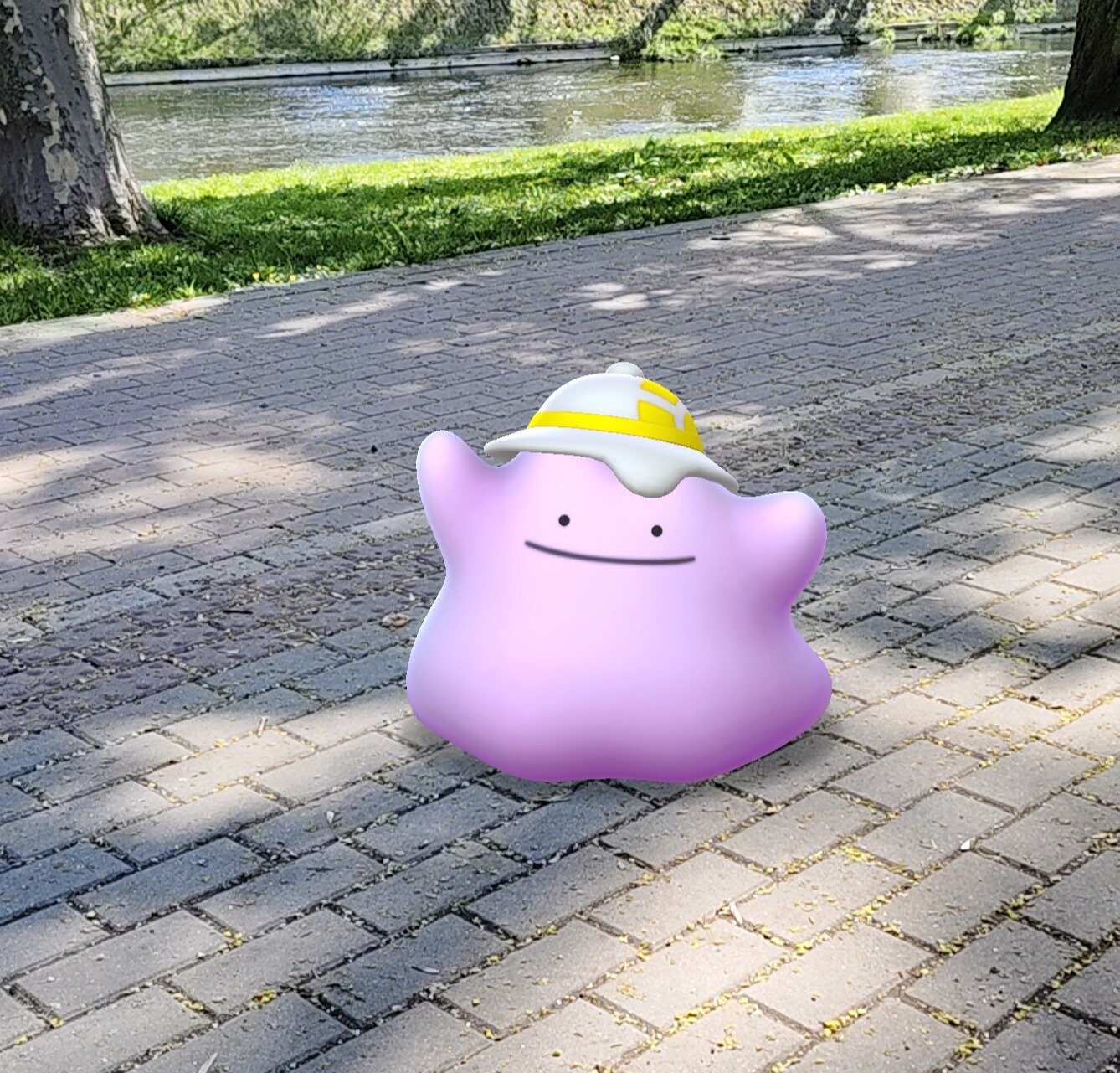 Ditto v Pokémon GO