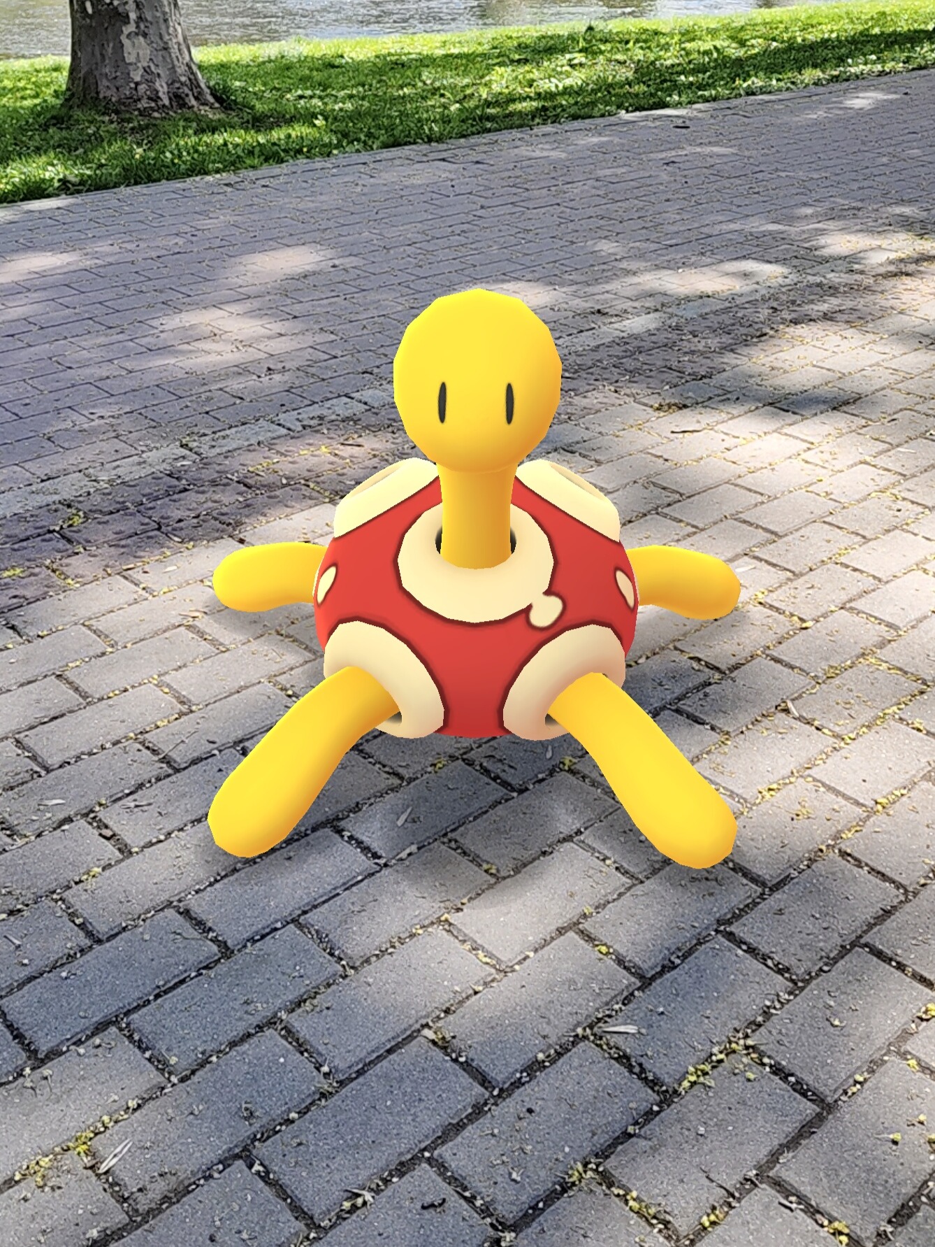 Shuckle v Pokémon GO